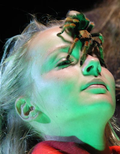 hella_spinne_auf_nase