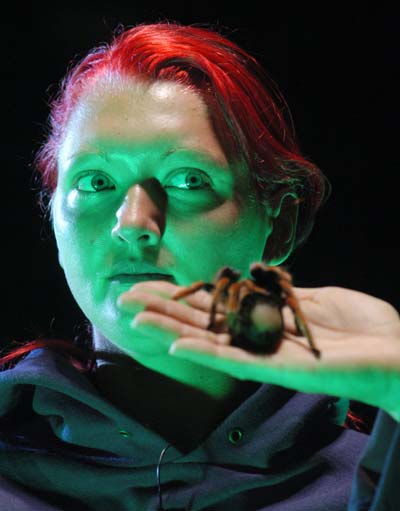 nadja_sieht_spinne